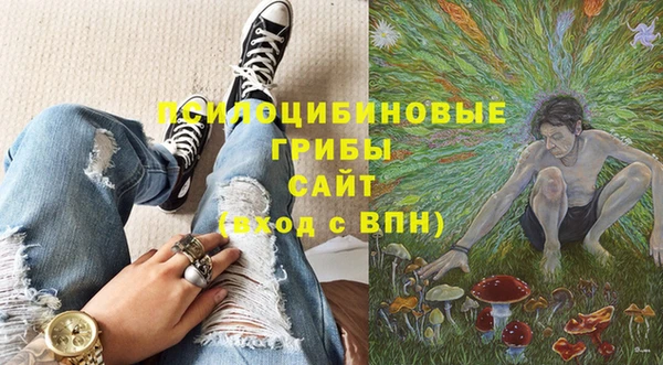 MDMA Сясьстрой