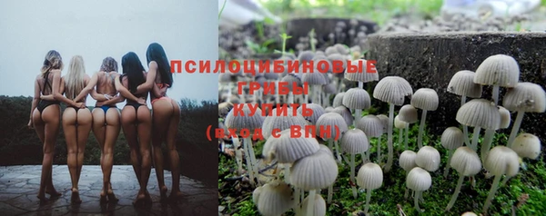 ALPHA-PVP Белокуриха