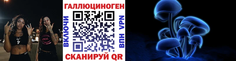 Псилоцибиновые грибы Psilocybe  Томилино 